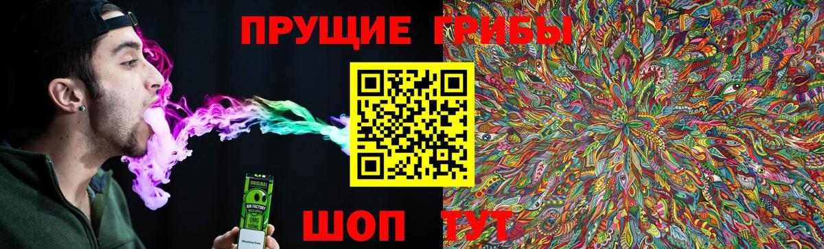 Кемерово  даркнет сайт  Вход с VPN  Псилоцибиновые грибы Psilocybine cubensis 