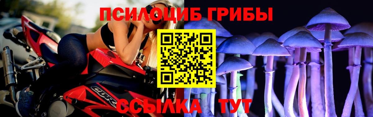 Псилоцибиновые грибы ЛСД Кемерово